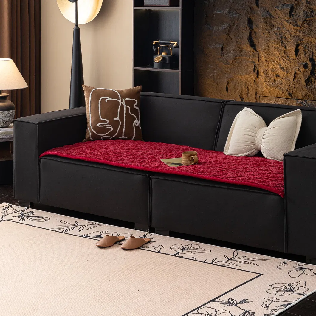 Sofa Cushion Color 2