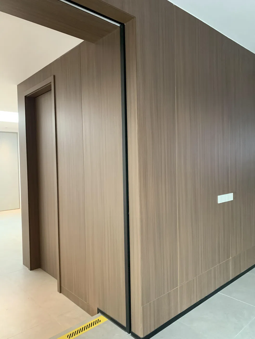 Concealed Wooden Door