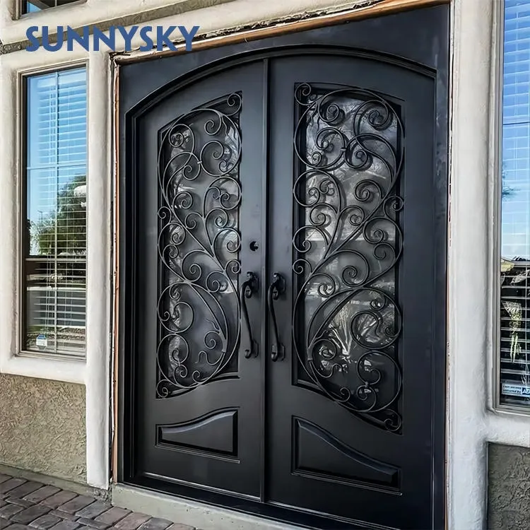 Modern Iron Door