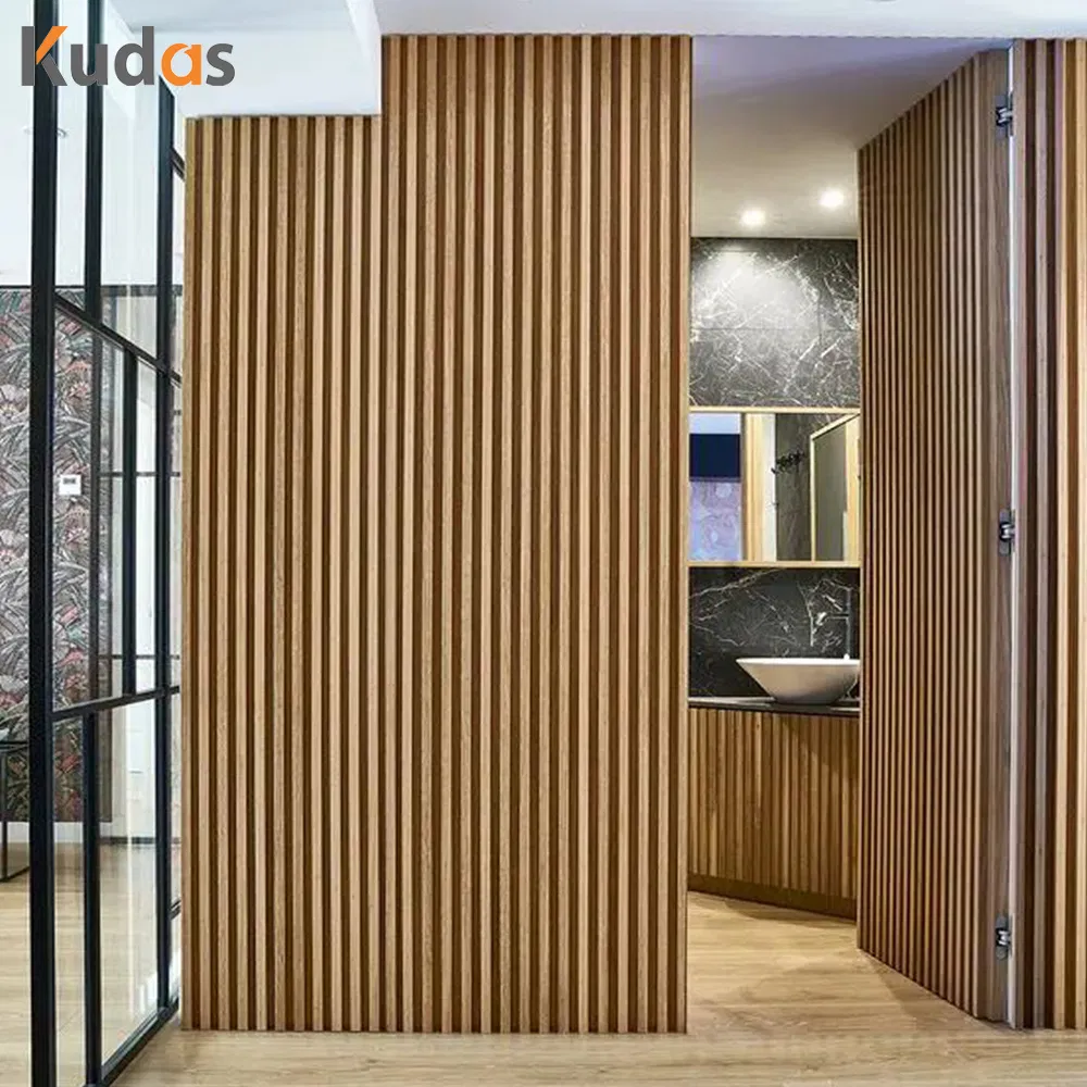 Invisible Door View 5