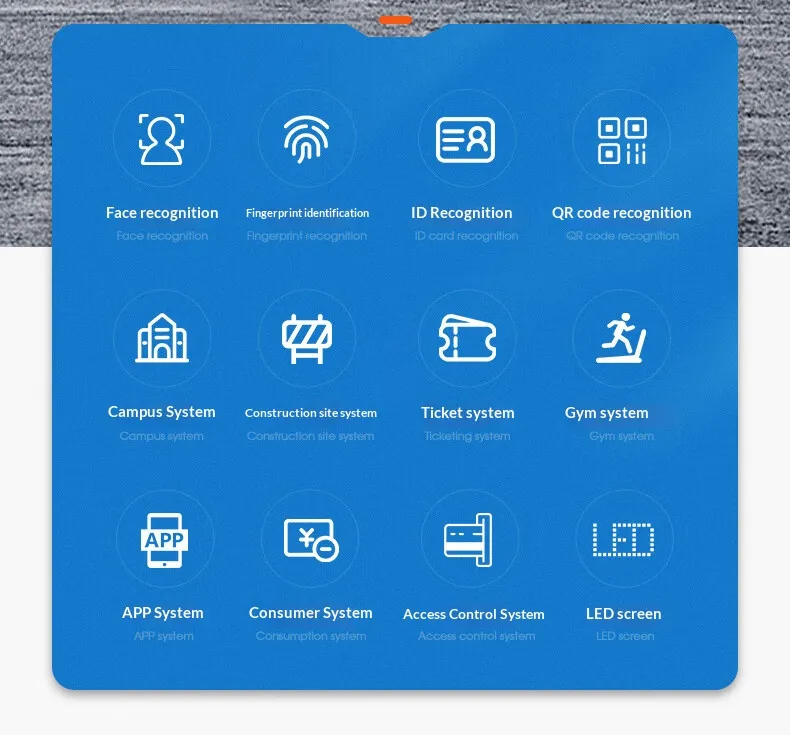 Speed Gate Face Recognition