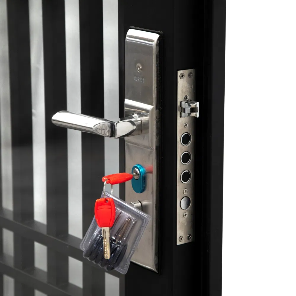 French Dutch Black Anti Theft Gate Glass Iron Metal Steel Door