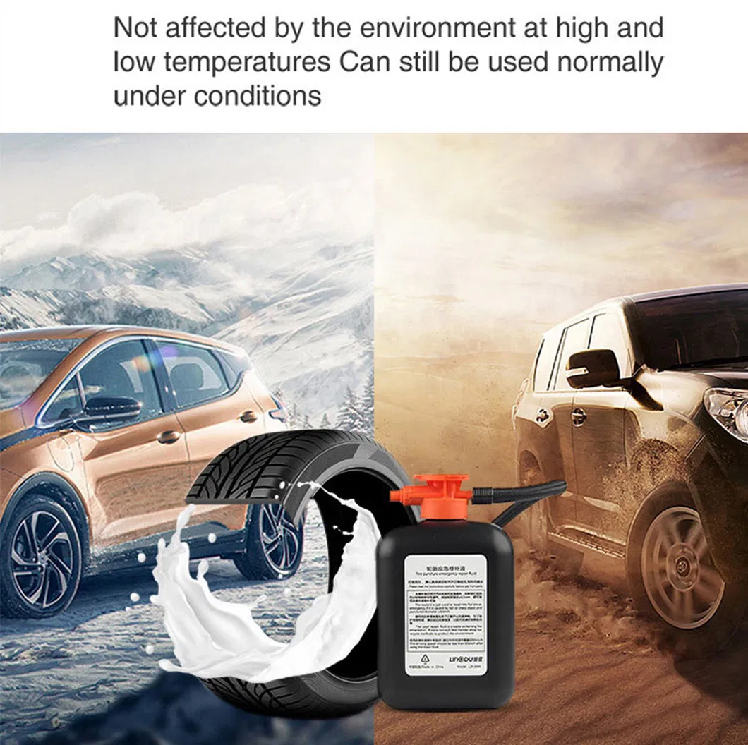 Flat Tire Repair Kit Detail 5