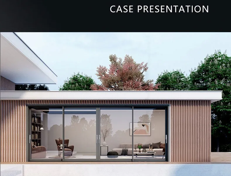 Aluminum Sliding Door Design 3