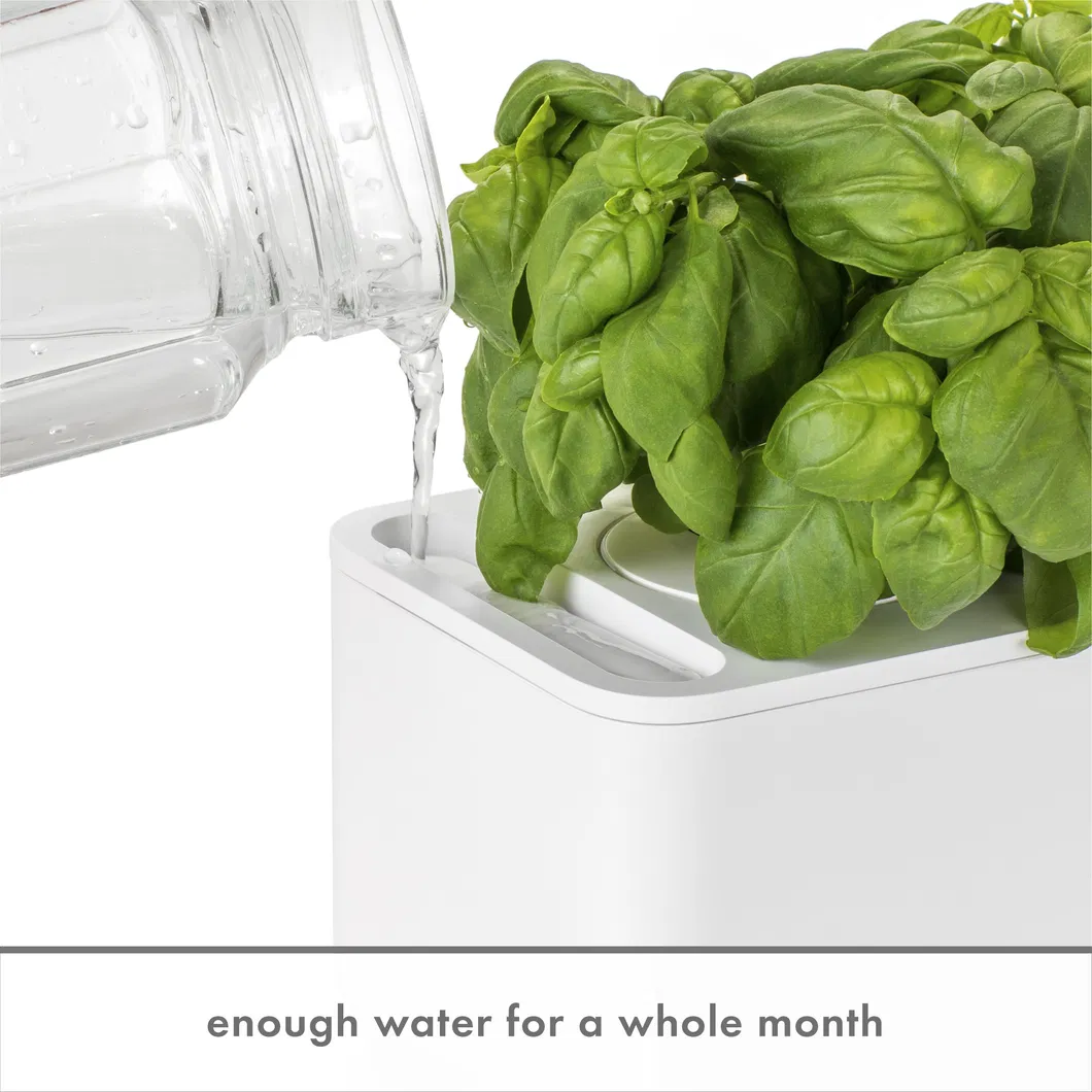 Hydroponic Grow System