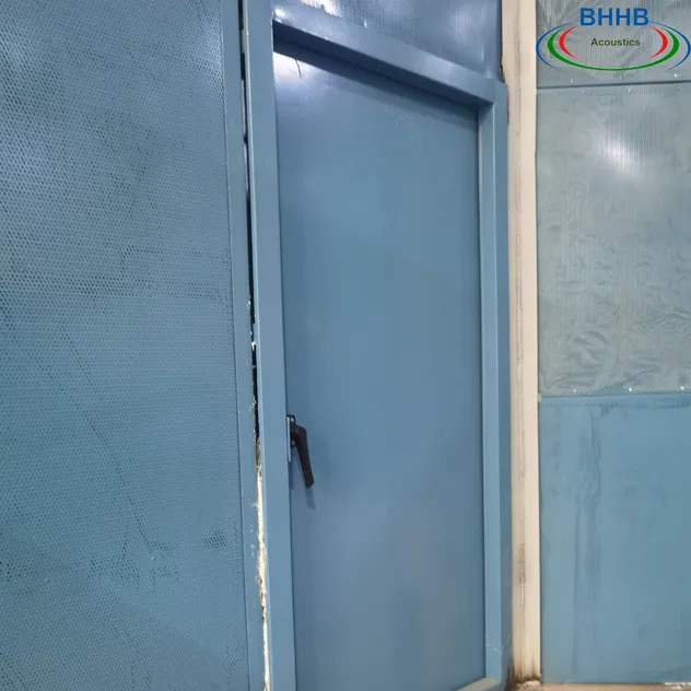 Acoustic Door View 2