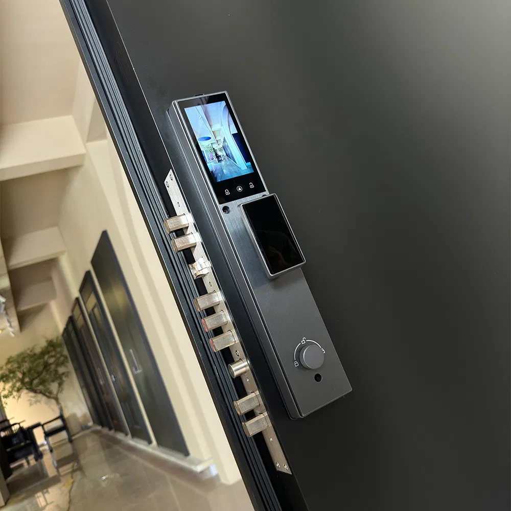 Bullet-Resistant Modern Iron Steel Security Door High-Quality Entry Door Passed Class a Test