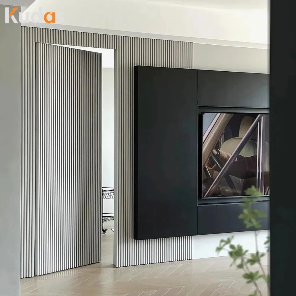 Invisible Door View 6