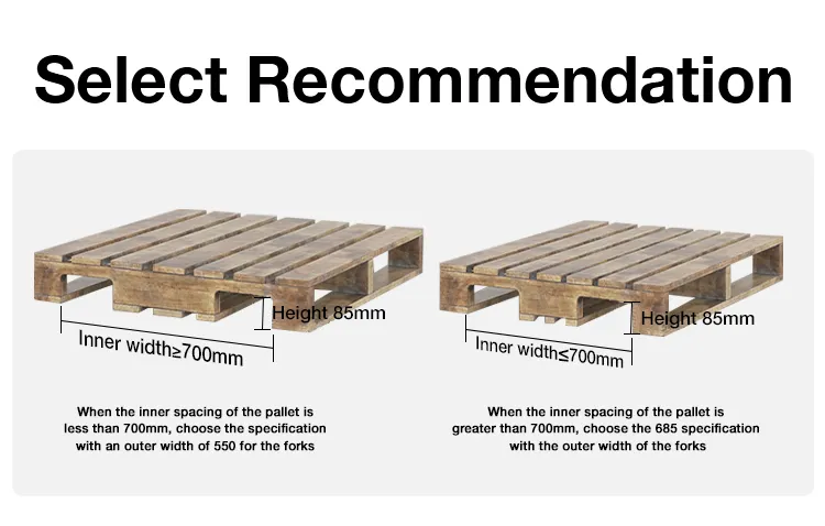 Pallet Truck Application 2