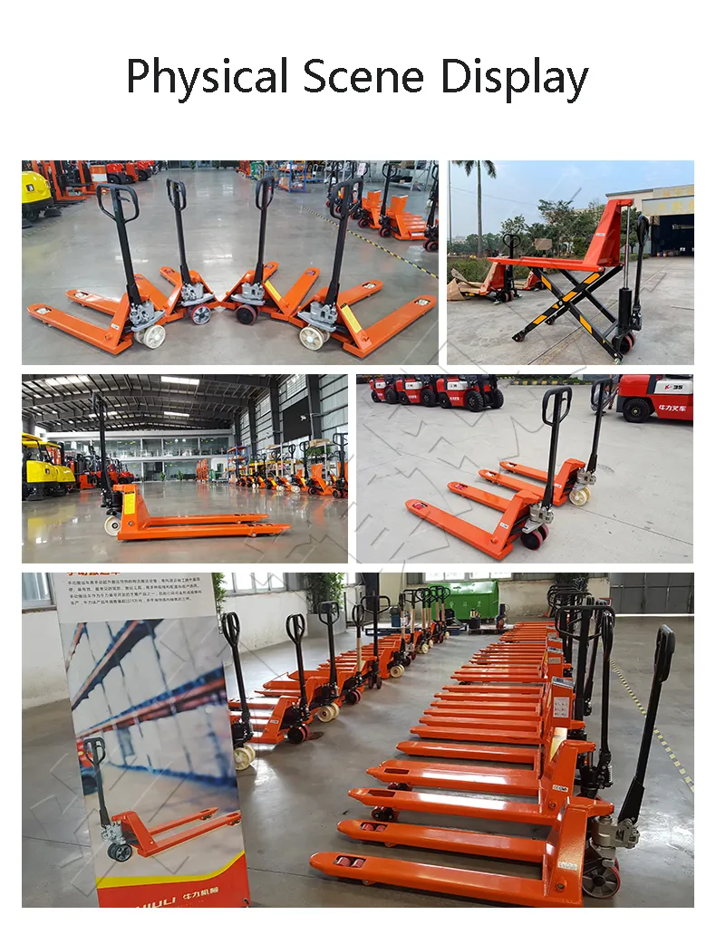 Hydraulic Forklift Manual Hand Lift Truck View 3
