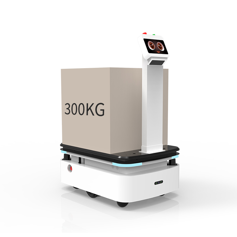Indoor Factory Warehouse Material Delivery 300kg Agv Automated Guided Vehicle
