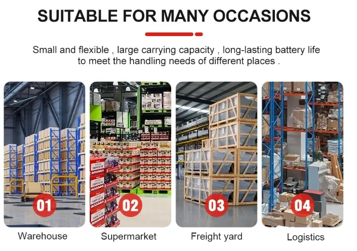 Electric Forklift details