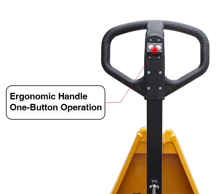 Ergonomic Handle