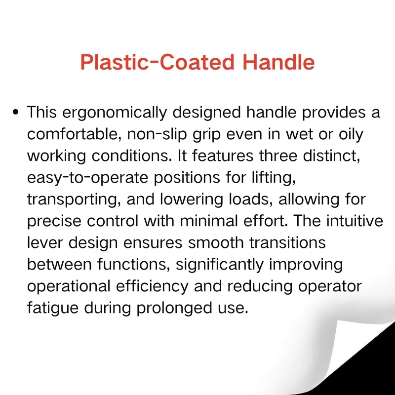 Pallet Truck Detail 2