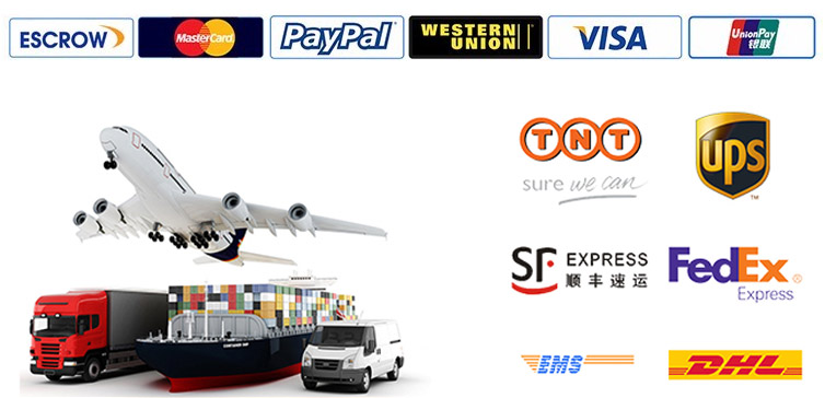 Shipping and Payment Information