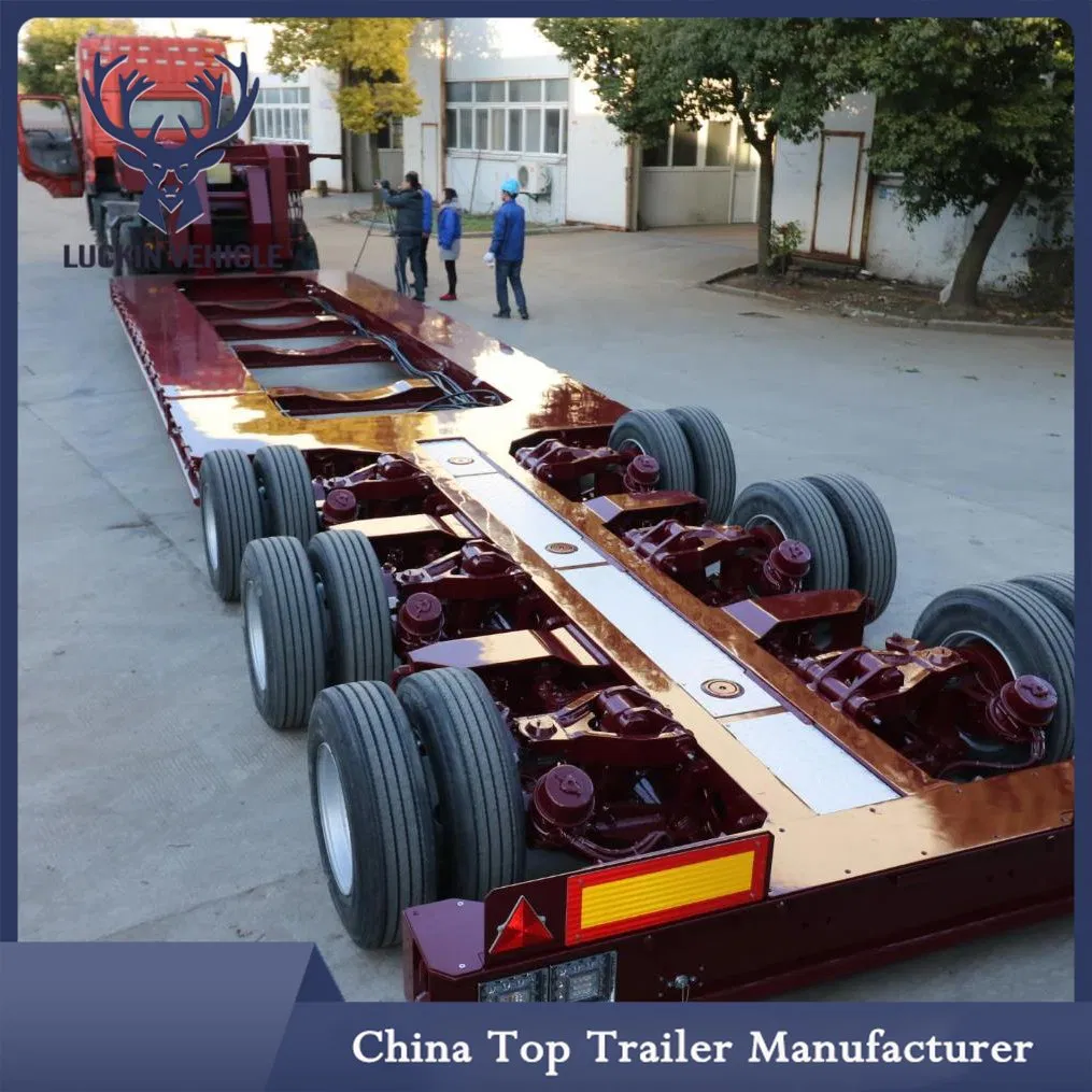 Extendable Double Drop Lowbed Semi Split Special Industry Custom Chassis Rgn Lowboy Trailer for Sale