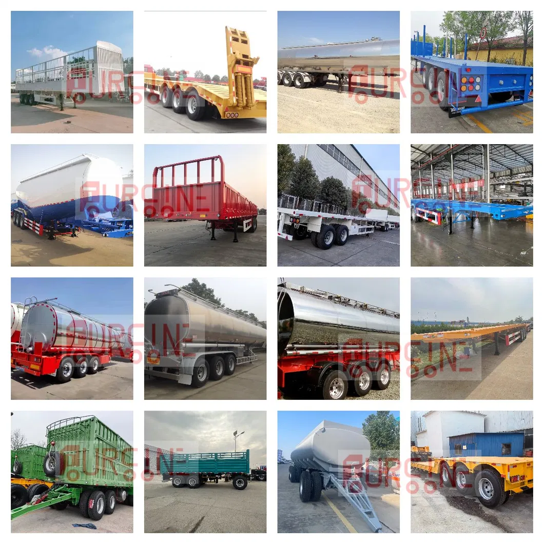 Successful Project Case