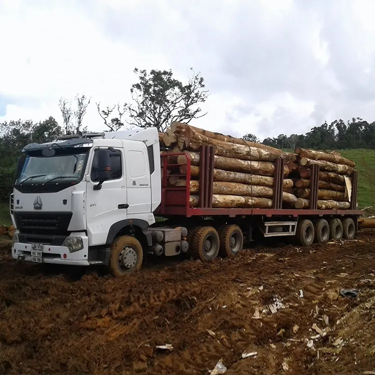 Timber Trailer View 5