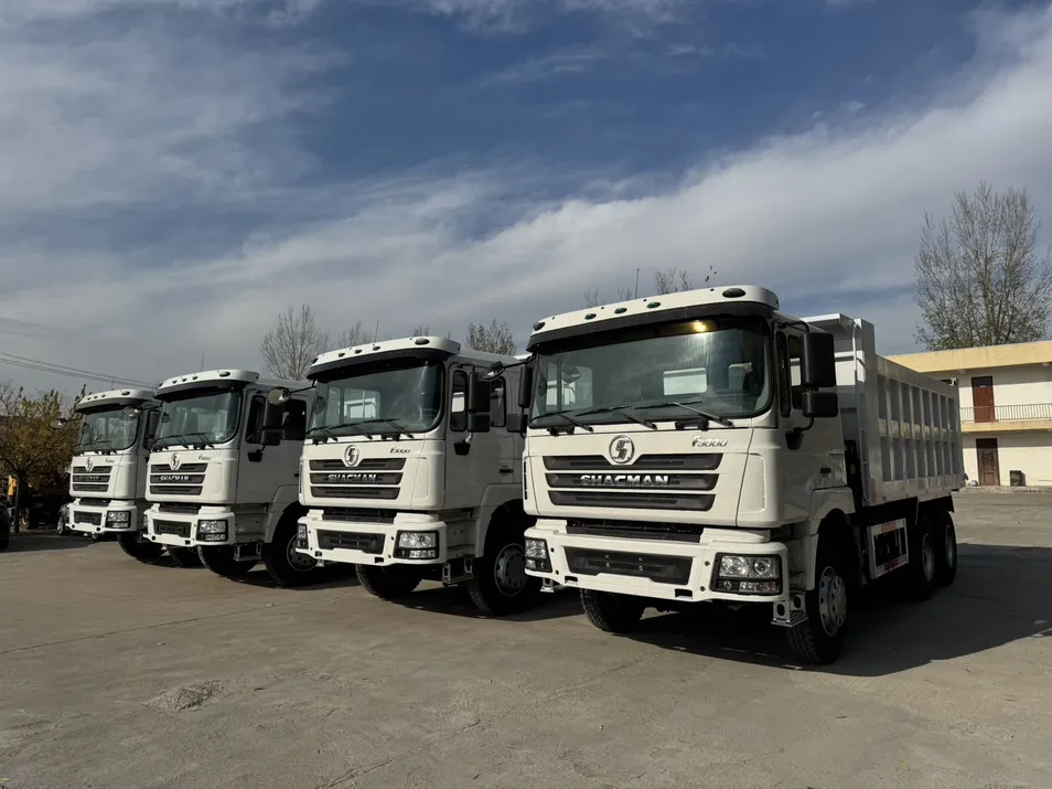 Dump Truck Side View