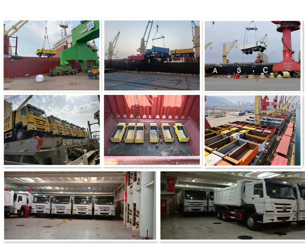 Packaging & Shipping