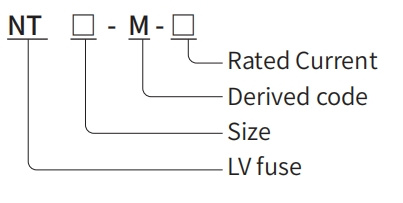 Model meaning