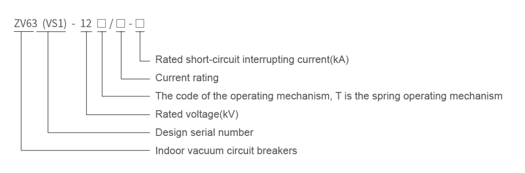 ZN63(VS1)-12 Model Meaning Details