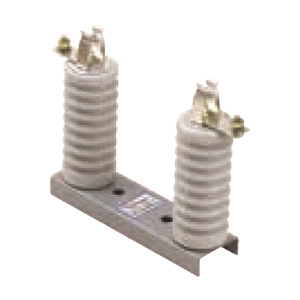 XRNP1 Base