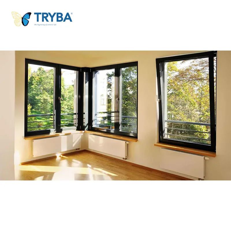Detalle Ventana