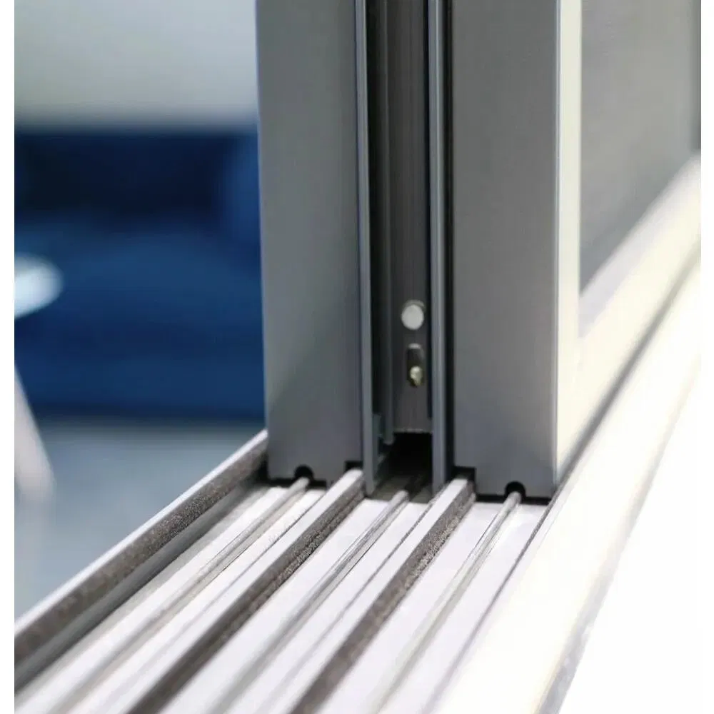 Ventana 5