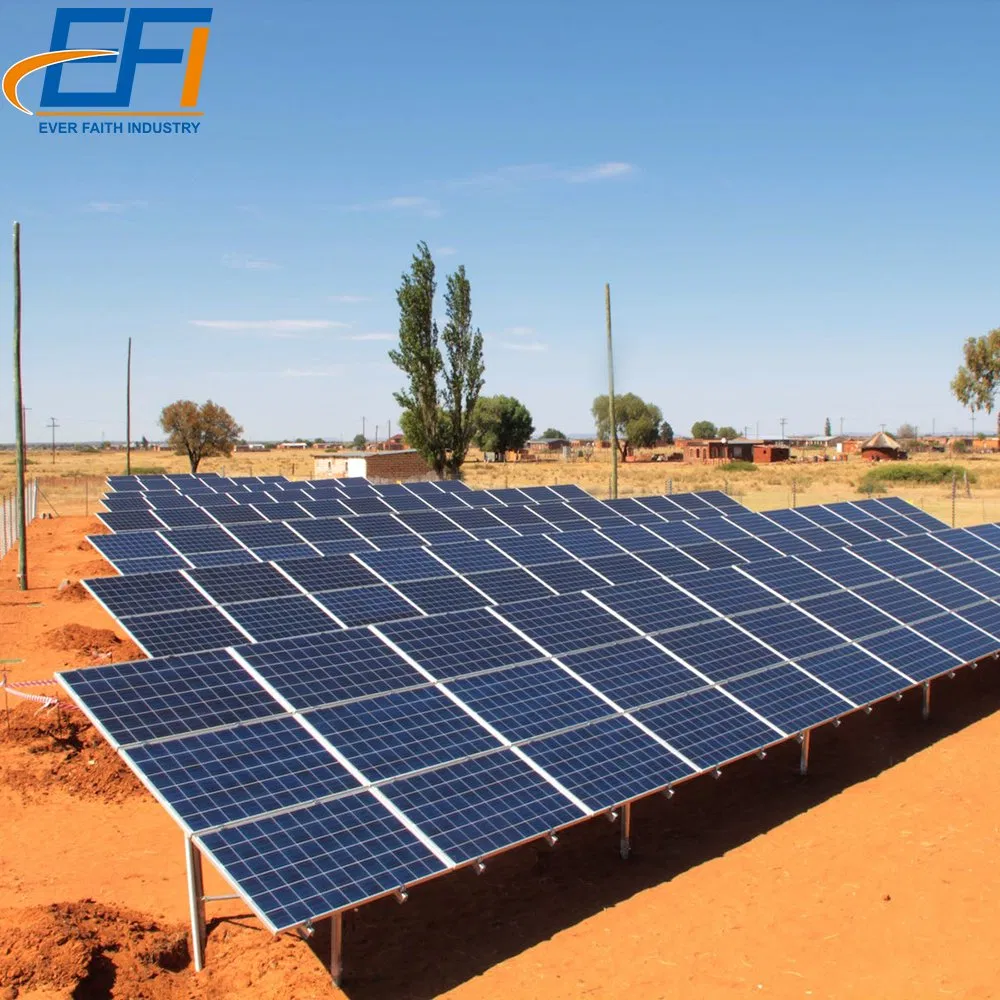 Ground Mounting Solar Panel Poles System Plant Mount Structure for Solar Panels