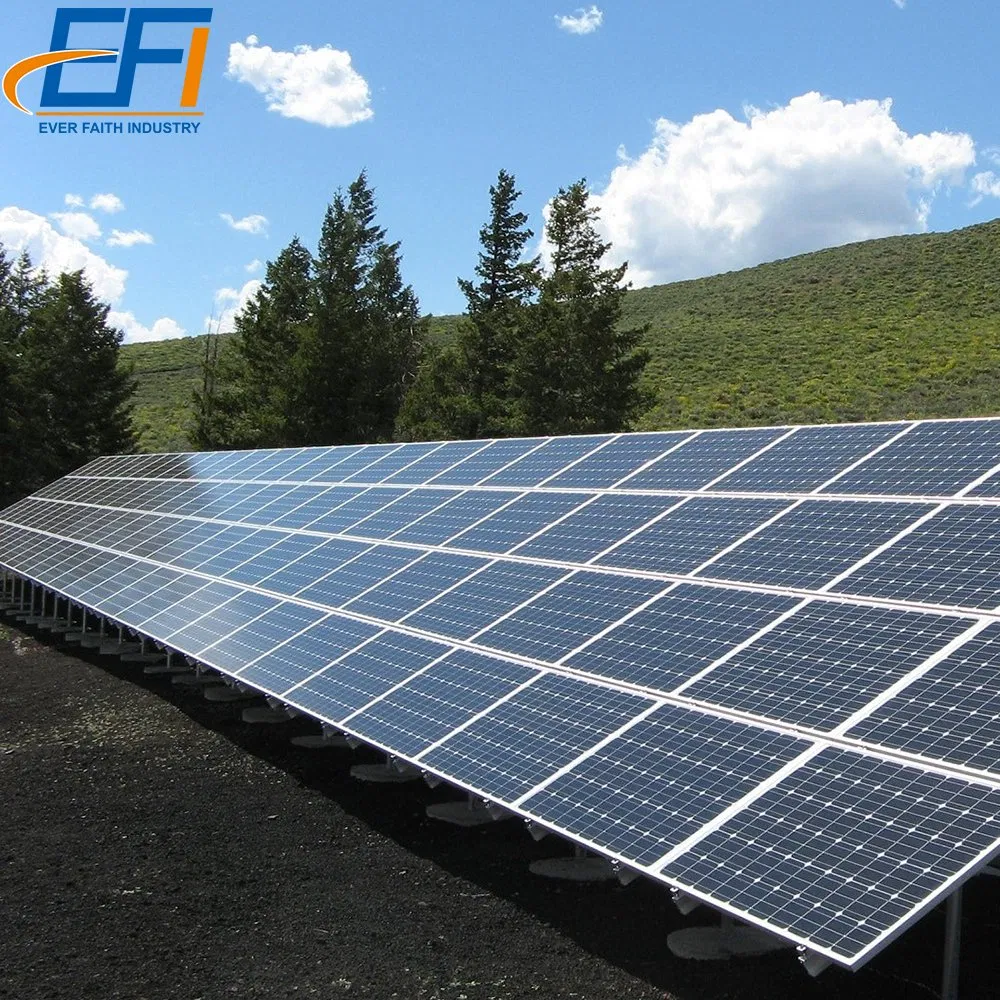 Ground Mounting Solar Panel Poles System Plant Mount Structure for Solar Panels