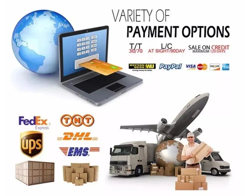 Collection Showcase