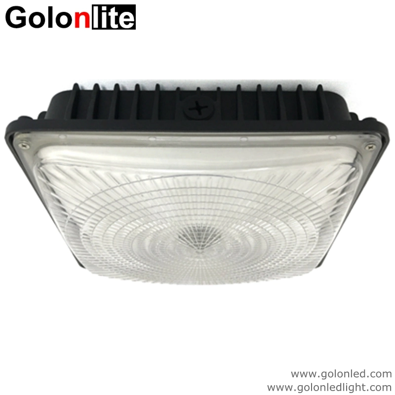 Ceiling Surface Flush Mount 75W 60W 45W LED Canopy Light