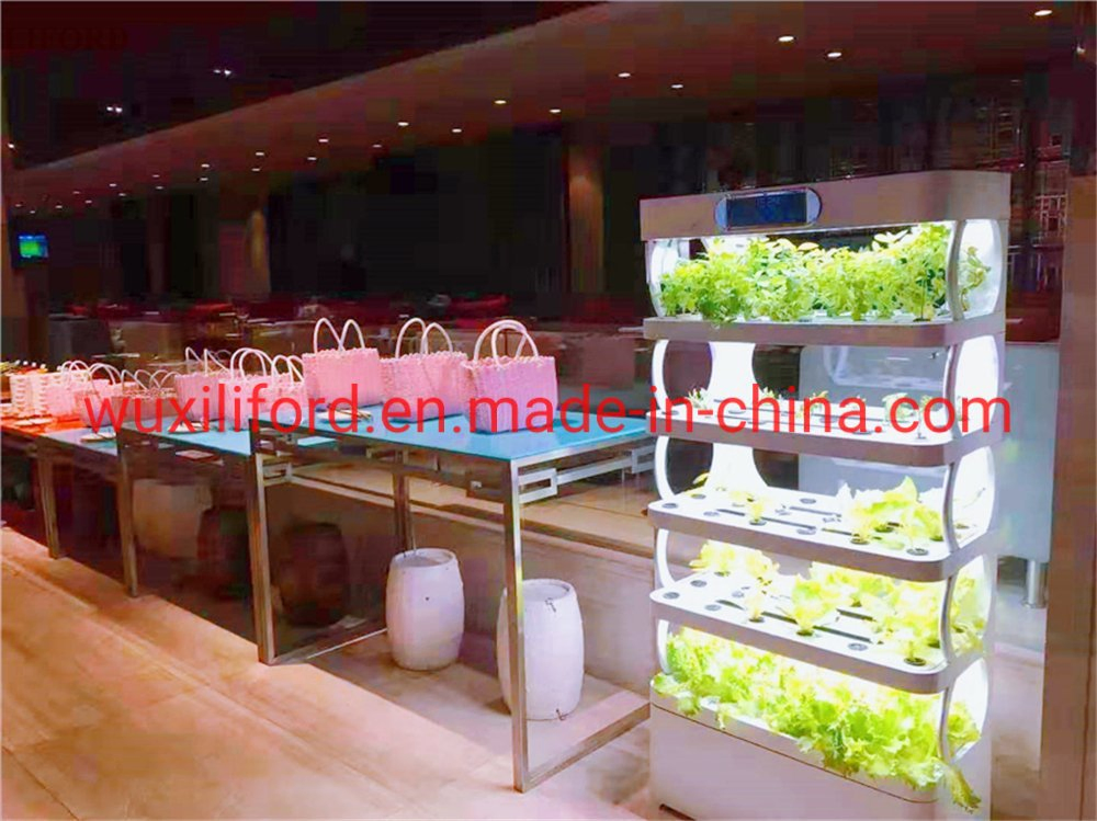 Small Home Complete Vertical Farming LED Lighting Hydroponics Growing System