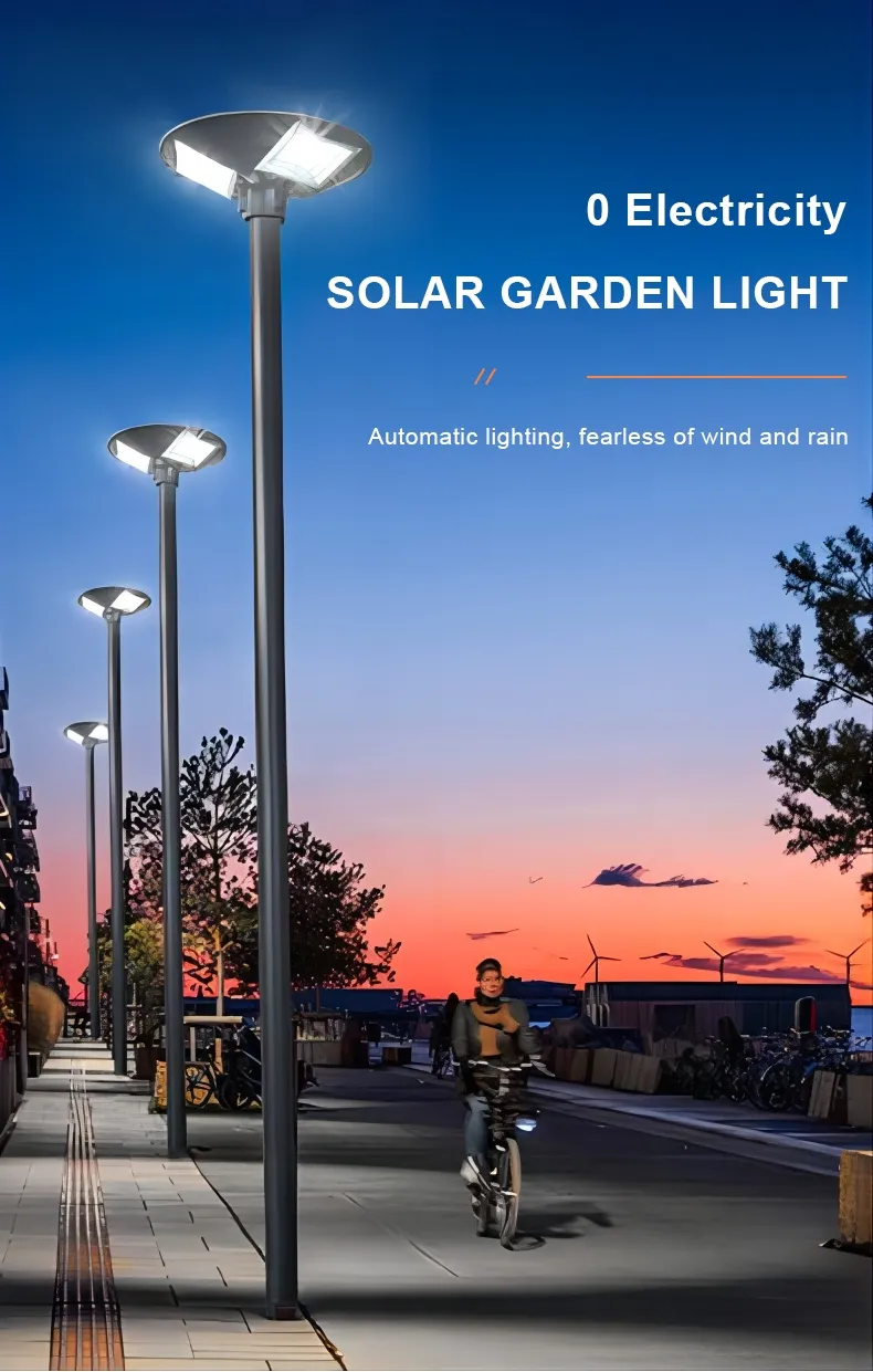 Solar Courtyard Light