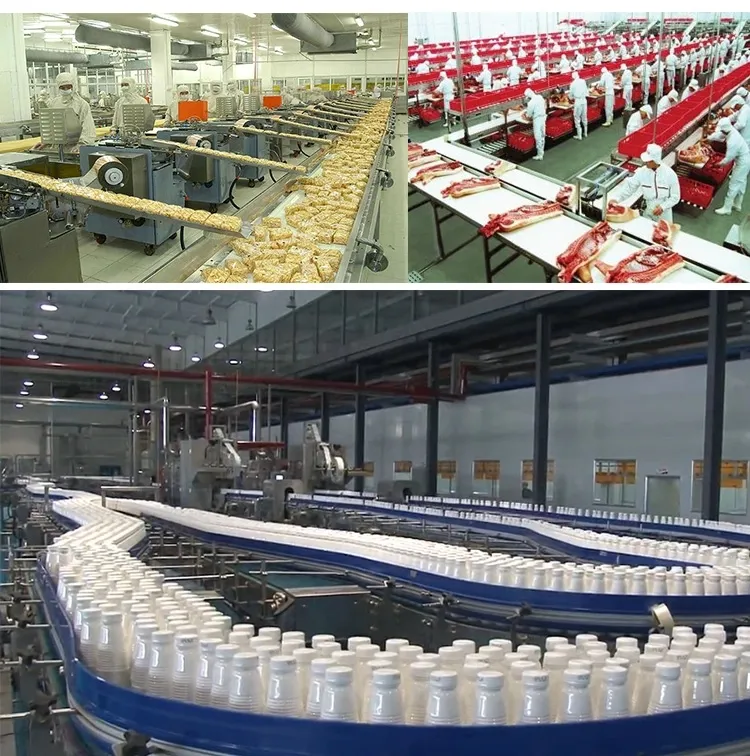 Food Processing Plant Application