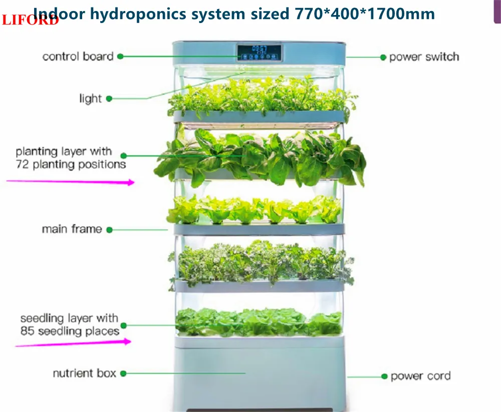 NFT Vertical System
