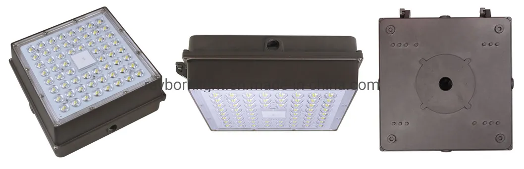 LED Canopy light detailed