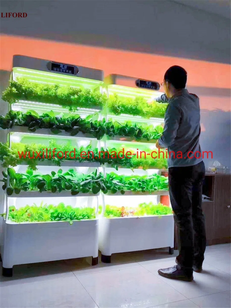 Small Home Complete Vertical Farming LED Lighting Hydroponics Growing System