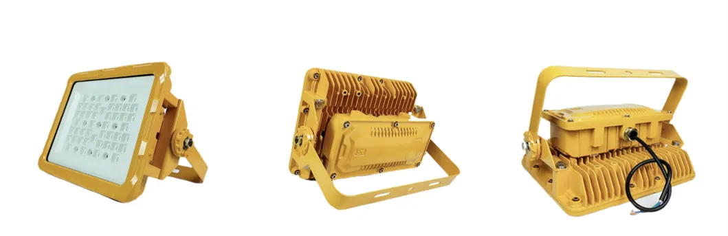 Detailed Product View