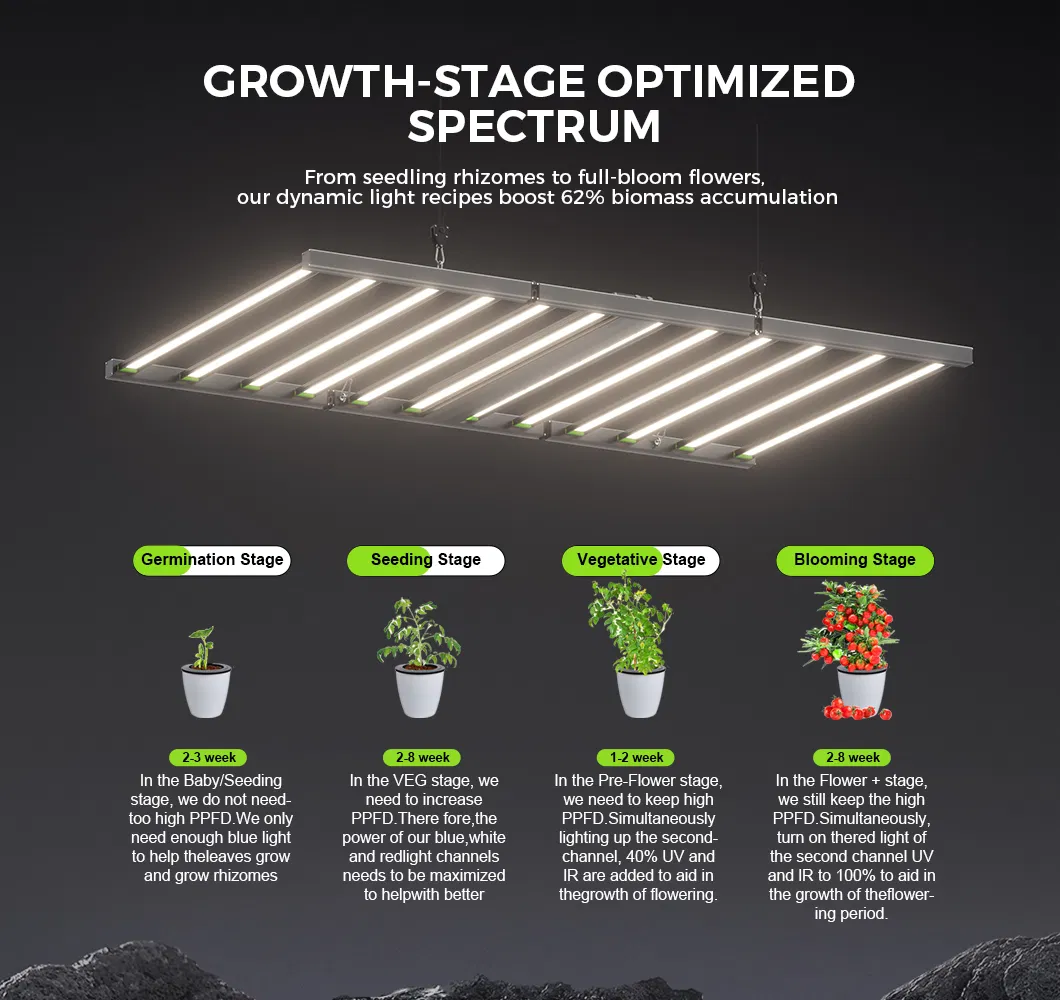 LED Grow Light 3
