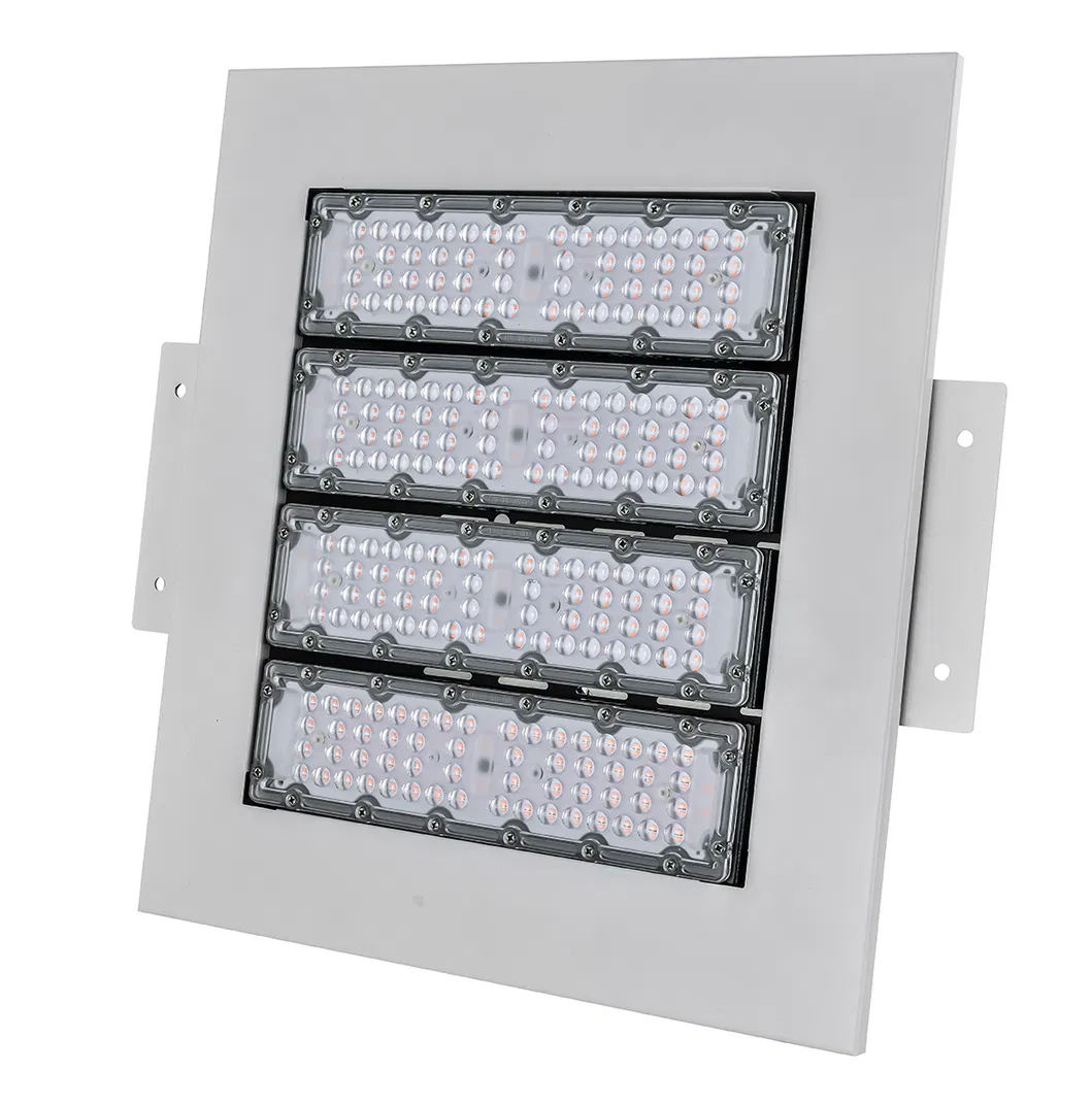 LED Canopy Lighting 3