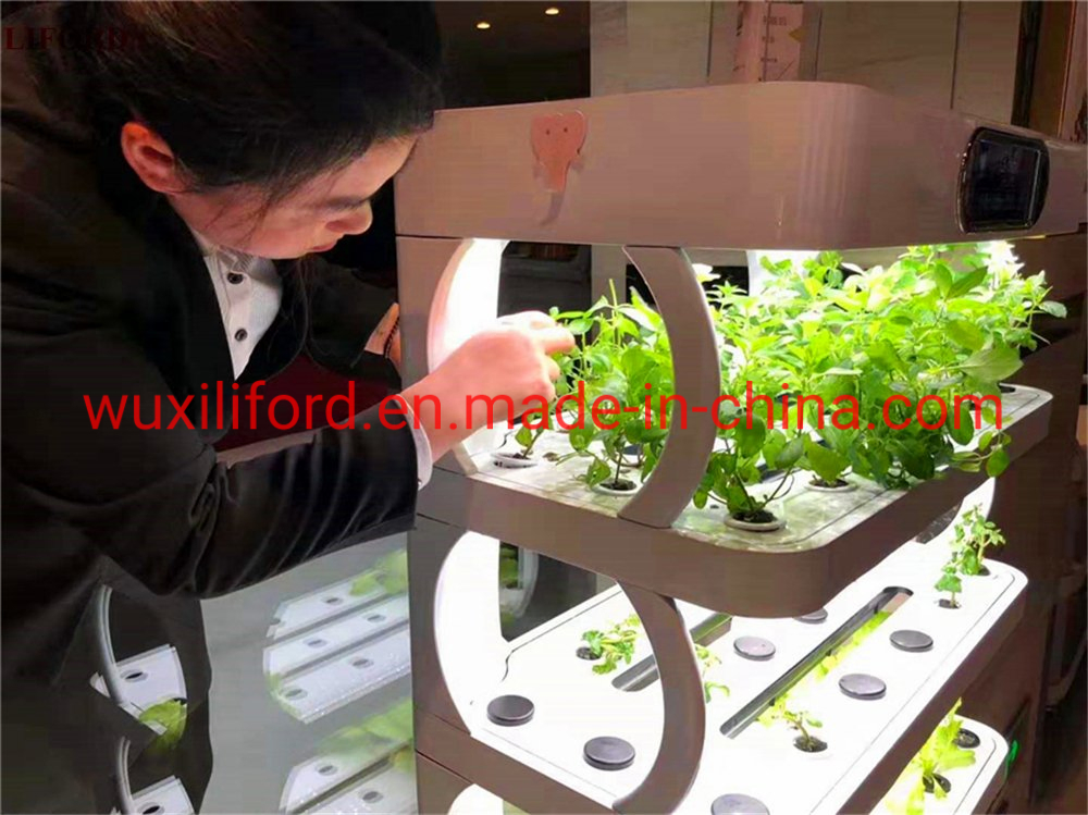 Small Home Complete Vertical Farming LED Lighting Hydroponics Growing System