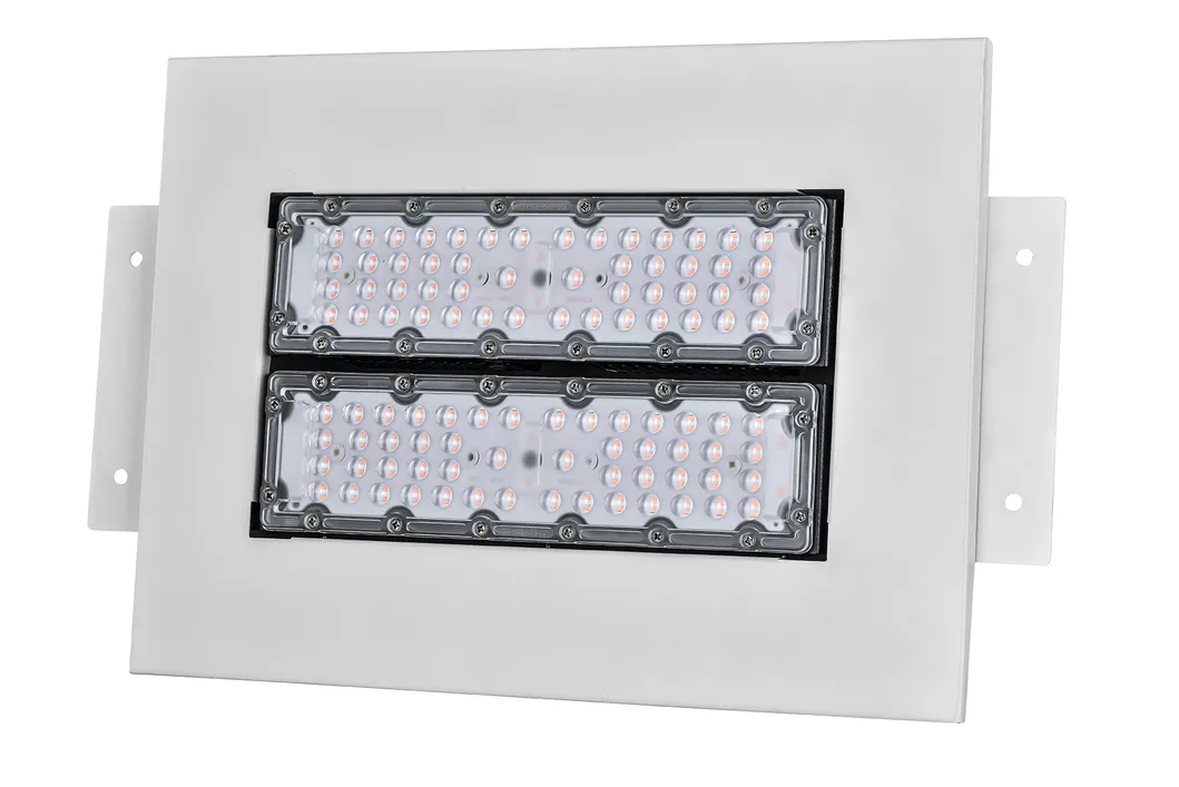 LED Canopy Lighting 1