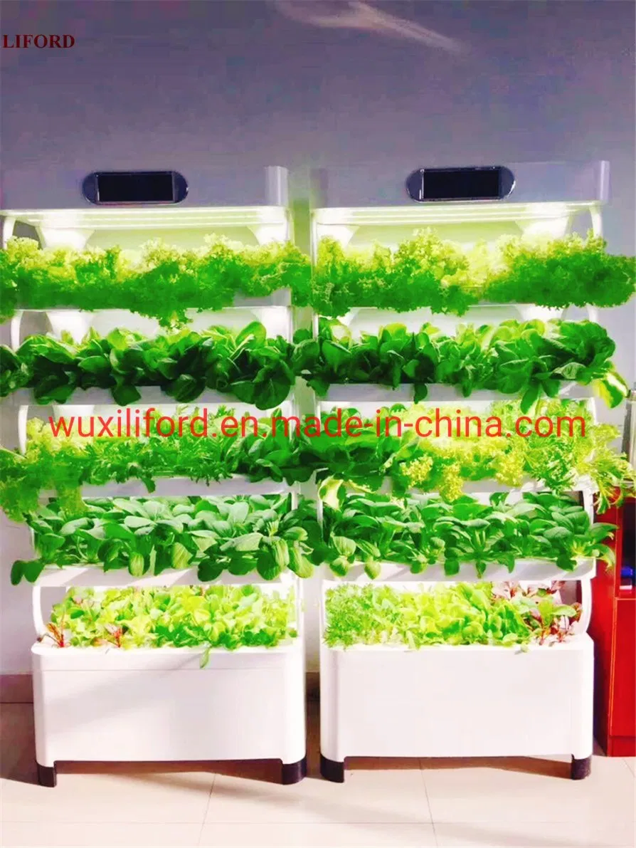 Small Home Complete Vertical Farming LED Lighting Hydroponics Growing System