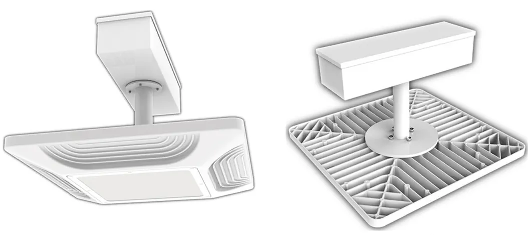 Explosion Proof Light Detail