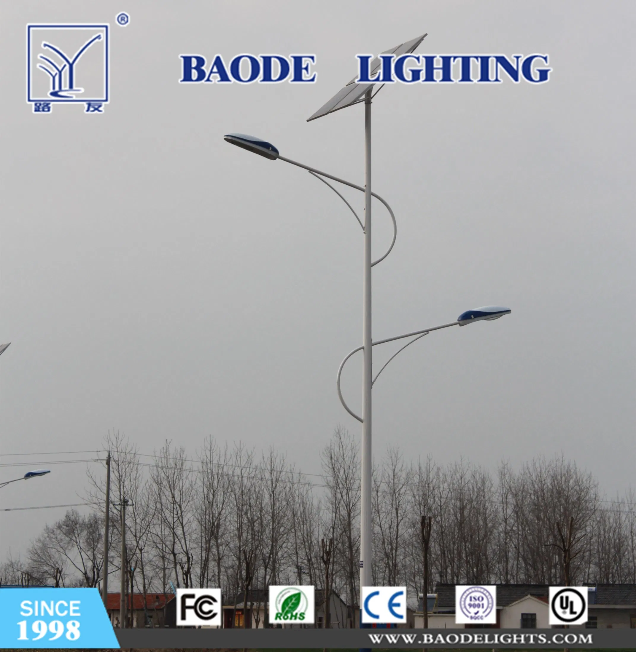 24years Factory High Power 40W LED Solar Street Lighting System