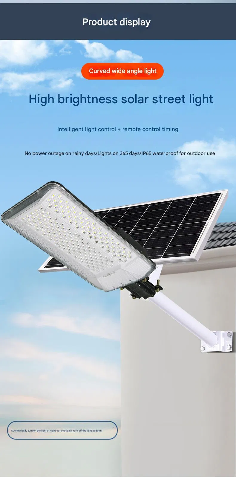 Solar Street Light Detail 1