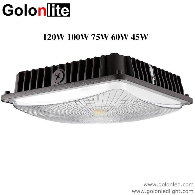 Ceiling Surface Flush Mount 75W 60W 45W LED Canopy Light