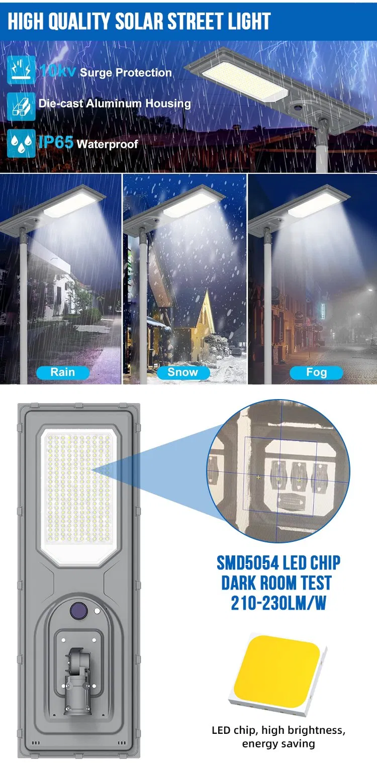 Solar Street Light Detail 2